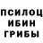Галлюциногенные грибы GOLDEN TEACHER Miroslav Rendl