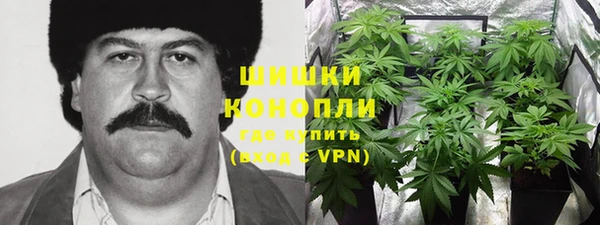 индика Волгодонск