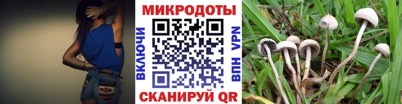 где купить наркоту  Нижний Тагил  Галлюциногенные грибы мухоморы 