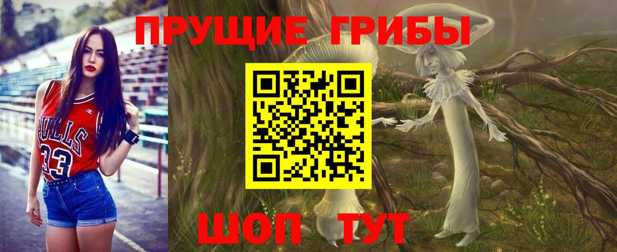 Галлюциногенные грибы Psilocybe Нижний Тагил