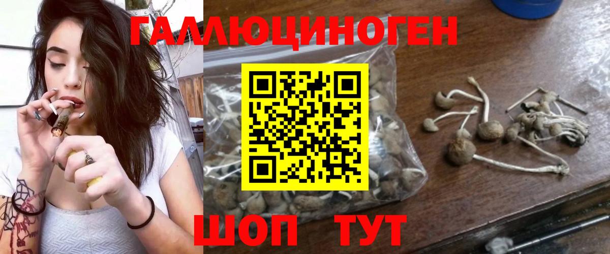 Нижний Тагил  Псилоцибиновые грибы GOLDEN TEACHER  Галлюциногенные грибы ЛСД  наркота  Вход с VPN 